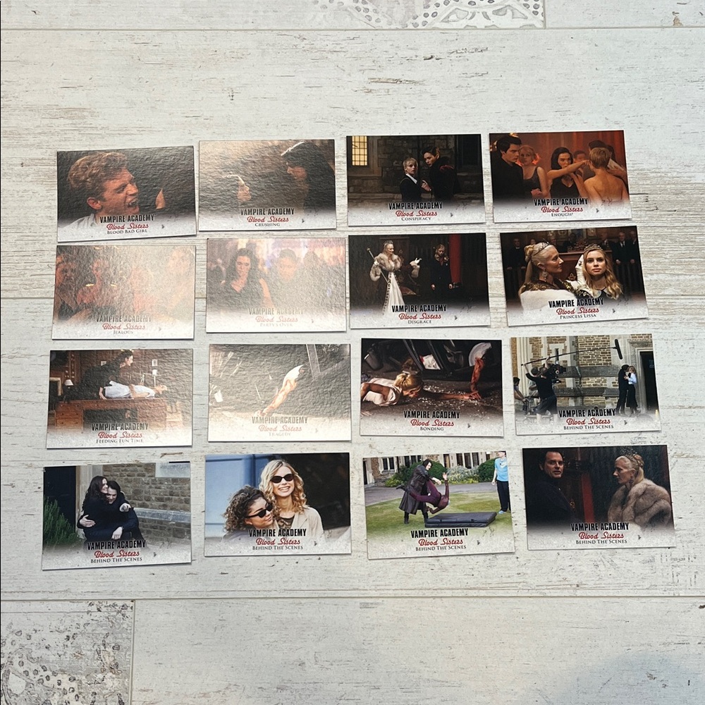 Vampire Academy Blood Sisters Set of 16 Trading Cards